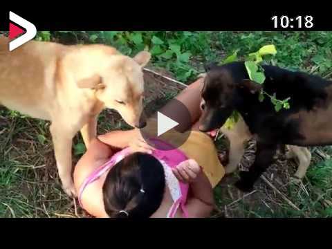 18x  Beautiful girl Play with smart and cute dog and discover life Part 7 دیدئو dideo